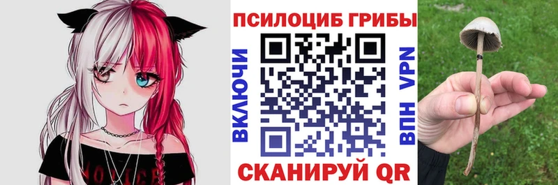 Галлюциногенные грибы ЛСД  Купить  Гурьевск 